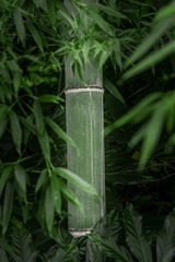 2008173
