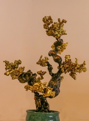 2098274
