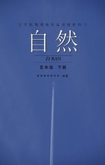 153041