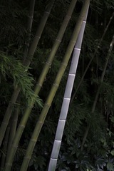 38102