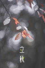 3045859