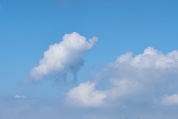 3011221