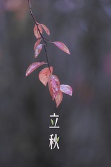 3045307