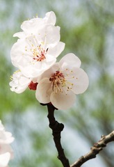 DSCF4513附件.jpg