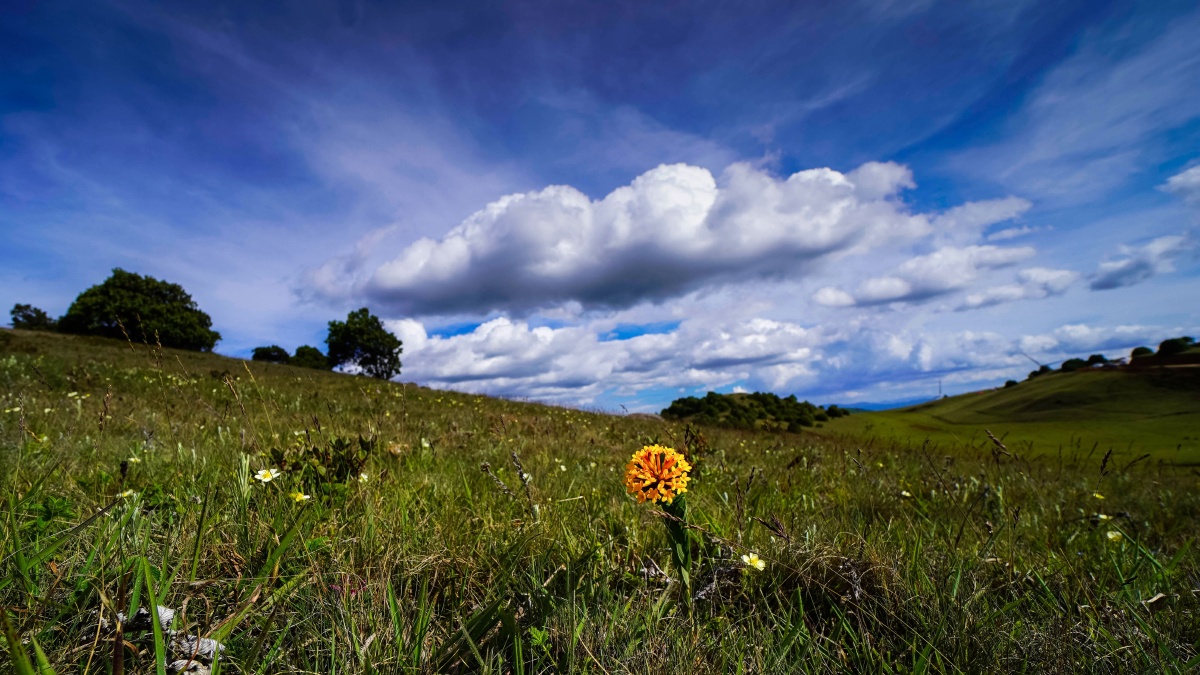 大理宾川的杨柳村乌龙坝苍翠秀美的高山草甸
