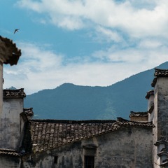 _1000404.jpg