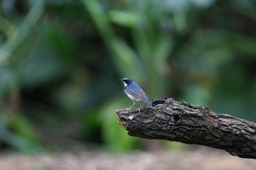 G87A9109.JPG