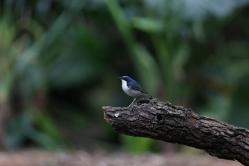 G87A9201.JPG