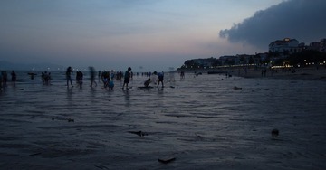 IMG_6911-1.jpg