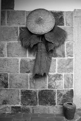IMG_1626-1.jpg