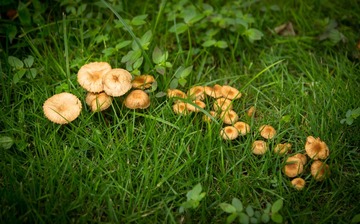 IMG_6615-1.jpg