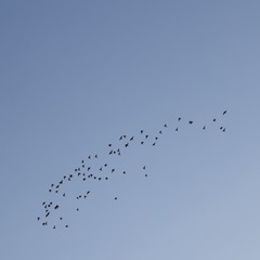 IMG_7596-1.jpg