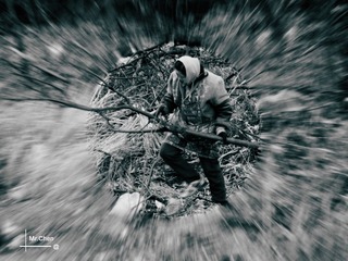 SAM_0226 (2)