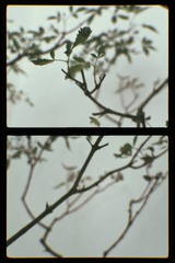 7EC738A1-8F08-4A17-BFB8-DB423536AC0D/L0/001