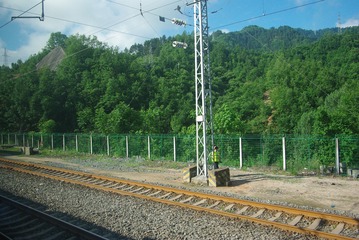 590448