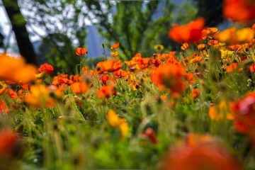 IMG_3913.jpg