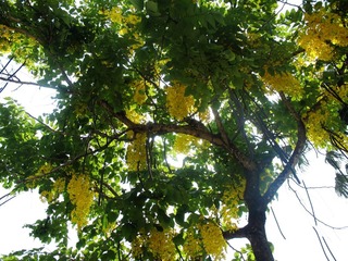 IMG_7594.JPG