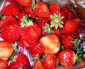 IMG00054-20110227-1936