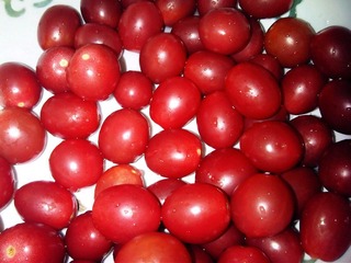 IMG00058-20110227-1957