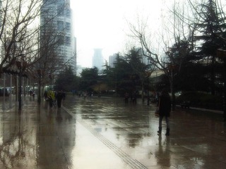 IMG00082-20110301-0716