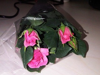 IMG00154-20110308-0821