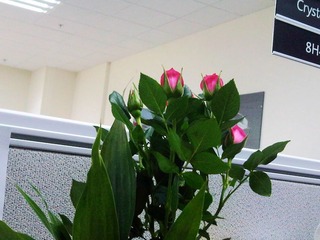 IMG00158-20110308-0824
