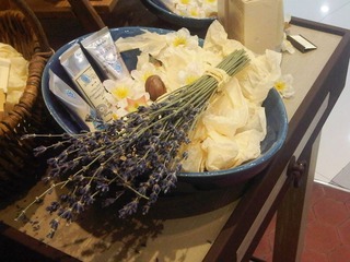 IMG00242-20110319-1815
