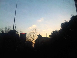 IMG00258-20110322-1759