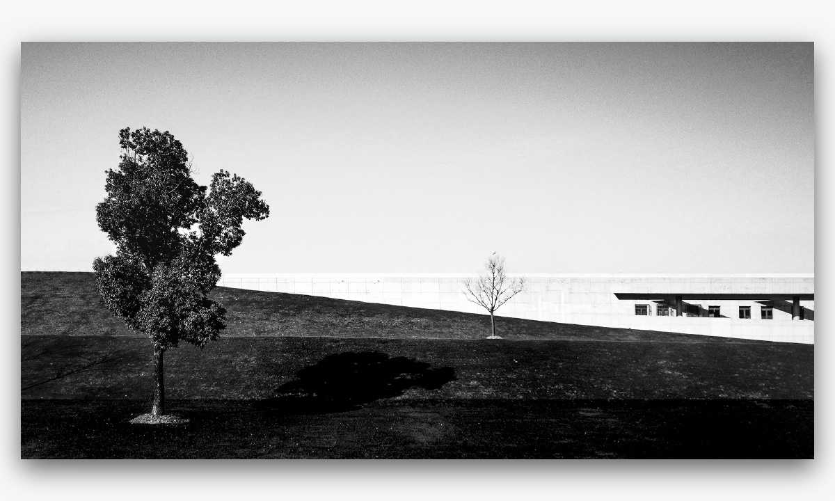 不分物黑白 但与时沉浮 - 敬废片再利用一枚