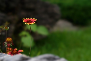 815601