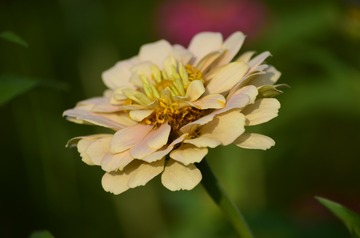 1224201