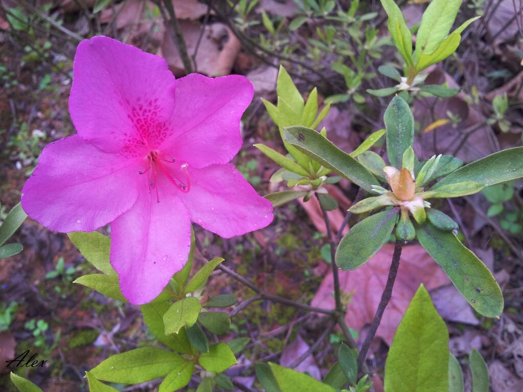 20120417_173122<br />
苦等