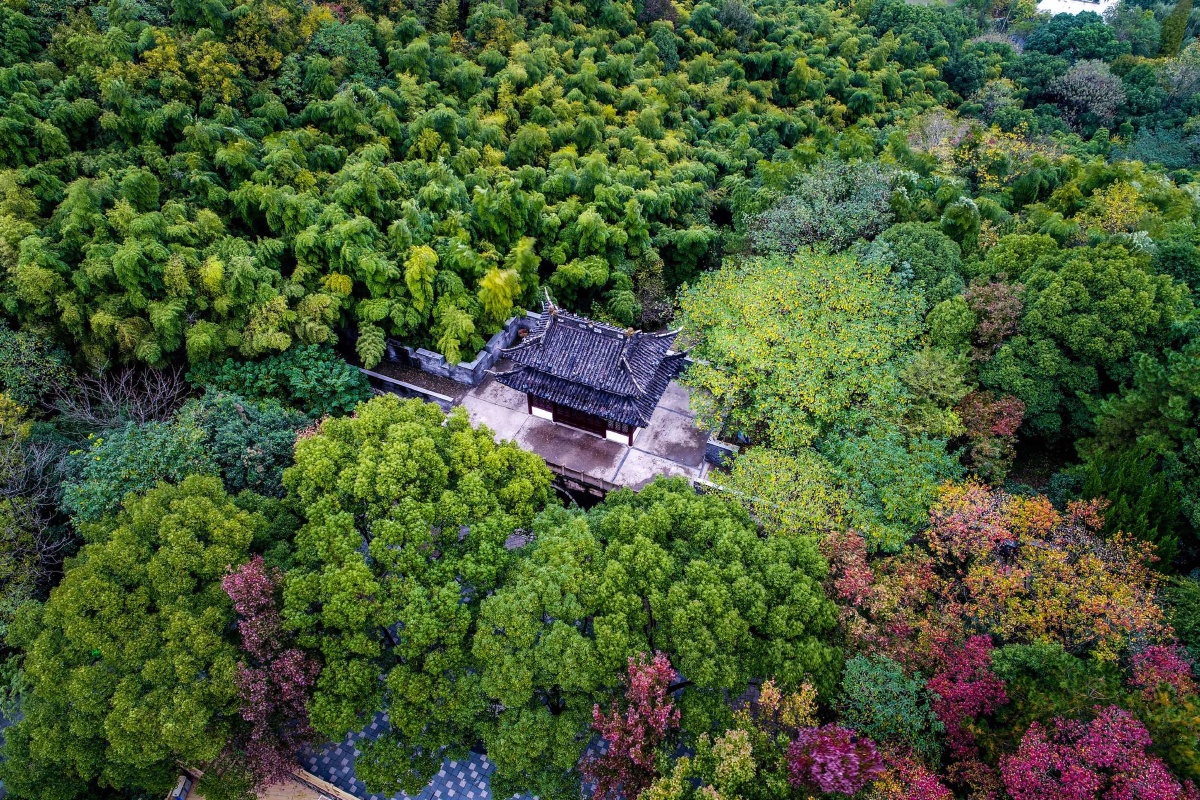 秋冬慈溪峙山公园之美景