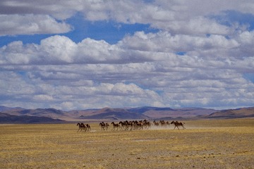 DDD5FE62-D132-41A2-AC25-5BC4852D3BE1/L0/001