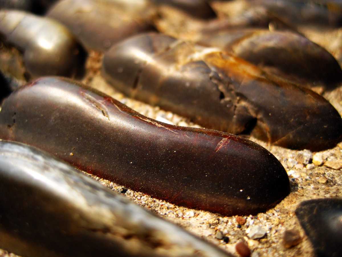 鹅卵石秀 - mgdg - 图虫