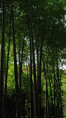 058-Recovered.jpg