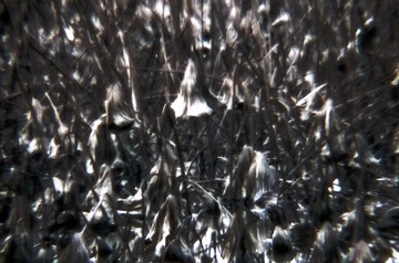 _IGP8913 as Smart Object-1