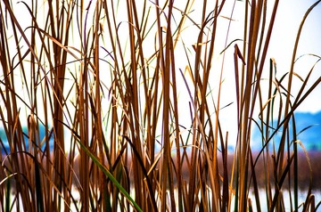 _IGP8917 as Smart Object-1