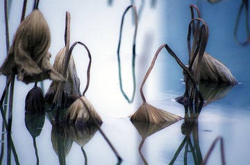 _IGP8954 as Smart Object-1