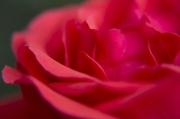 _IGP0281 as Smart Object-1