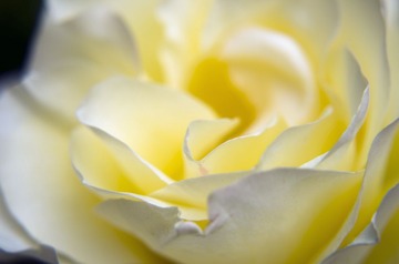 _IGP0290 as Smart Object-1