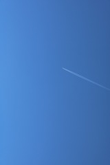 1290488