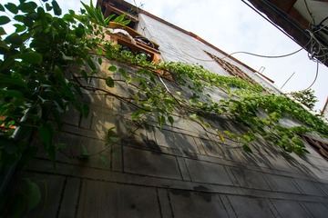 SUN_2938