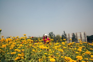 SUN_9065