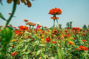 SUN_9074