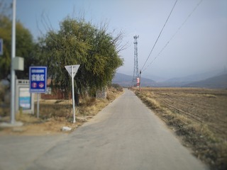 950226