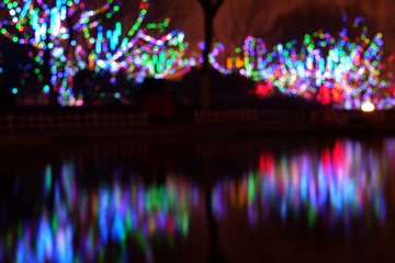DSCF2606_