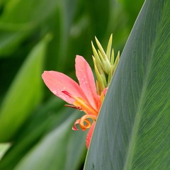 IMG_2824 副本.jpg