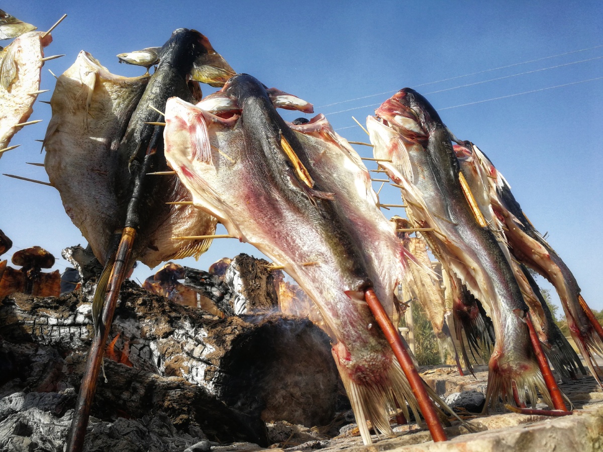 《罗布人烤鱼》