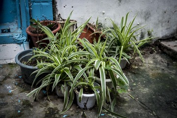 _DSC0295